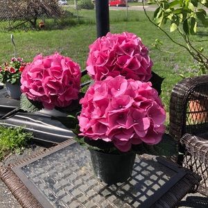 Meet your Posher, Joanne